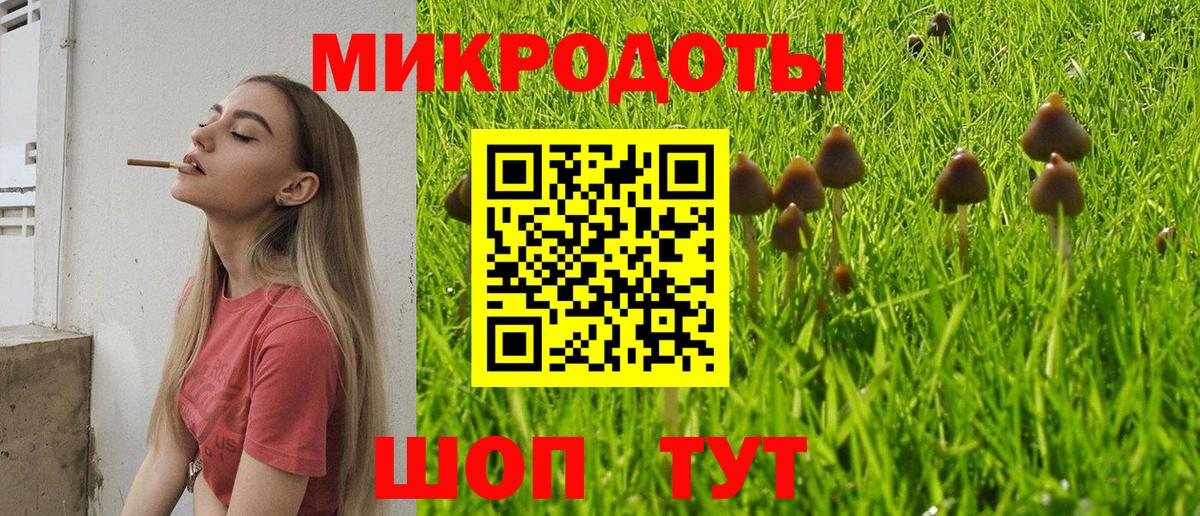 Галлюциногенные грибы Psilocybine cubensis  Вход с VPN  Горно-Алтайск 